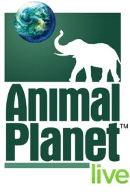 The cover image for Animal Planet Live