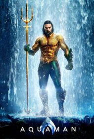 The cover image for Aquaman Exhibit